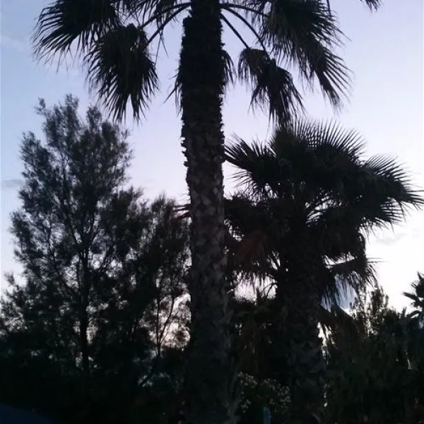 camping-cala-gogo-saint-cyprien-rdxdh