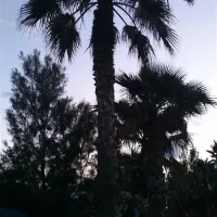 camping-cala-gogo-saint-cyprien-rdxdh