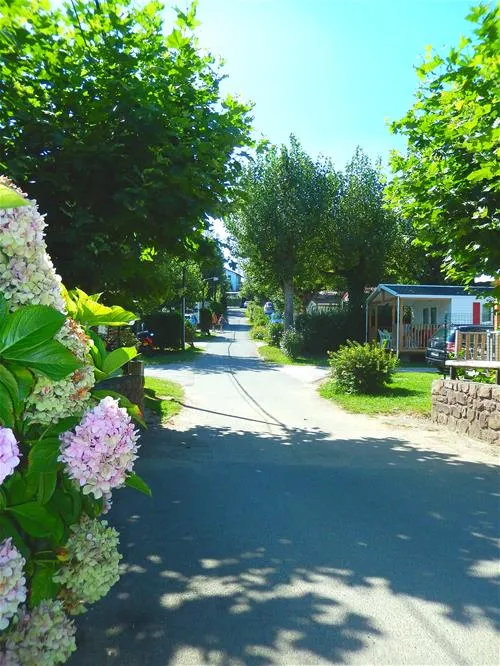 camping-harrobia-bidart-cdays