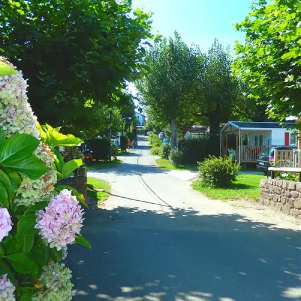 camping-harrobia-bidart-cdays