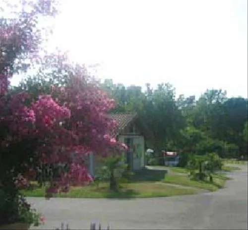 camping-le-bascat-dax-6mcxg