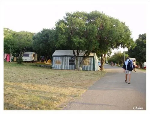 camping-klenovica-klenovica-83md1