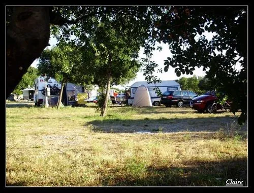 camping-klenovica-klenovica-pilxg