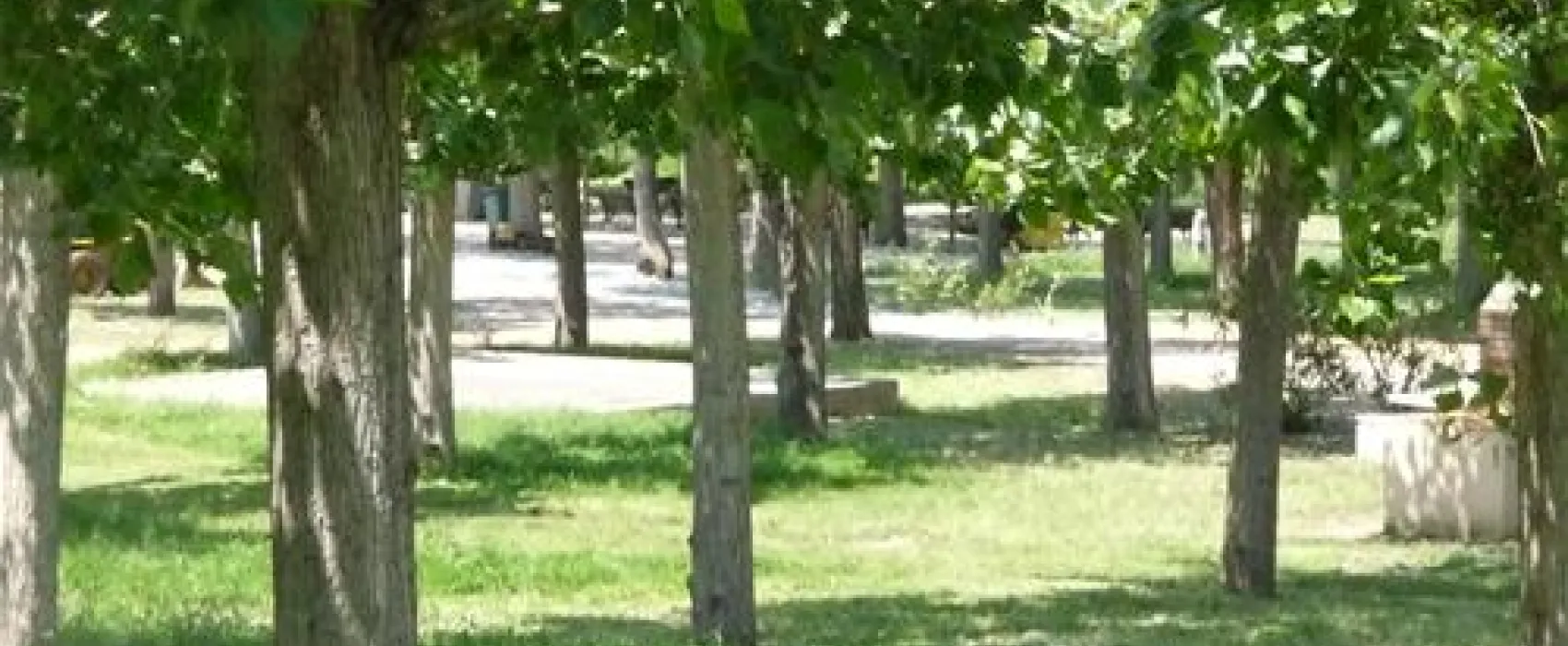 Camping U Sommalu