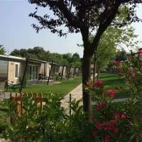 camping-la-quercia-lazise-8z80l