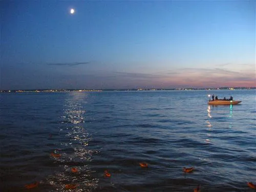 camping-la-quercia-lazise-dtxtr