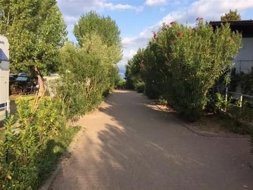 camping-la-quercia-lazise-z1scq