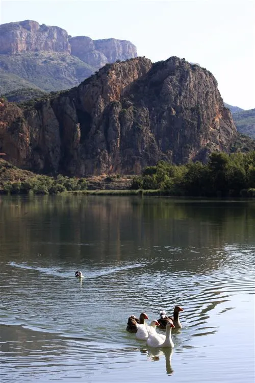 camping-la-noguera-sant-lloren-de-montgai-bh8y5