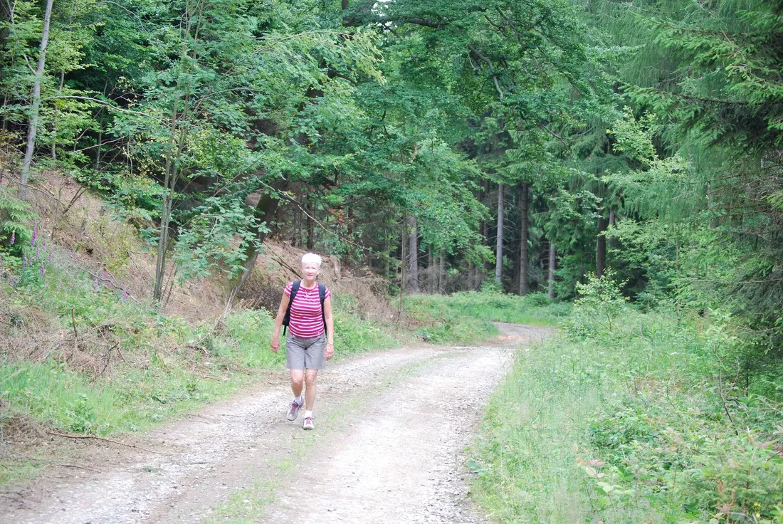 camping-sennhtte-goslar-bfnhg