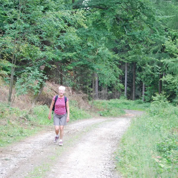camping-sennhtte-goslar-bfnhg