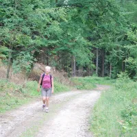 camping-sennhtte-goslar-bfnhg