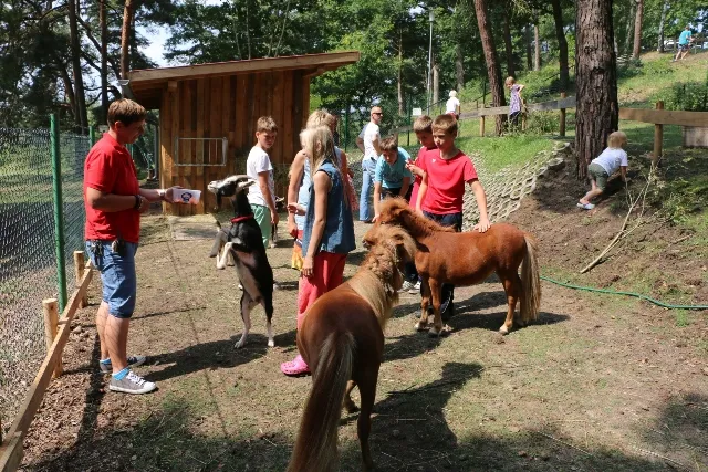 campingpark-buntspecht-ferchesar-ilyvl