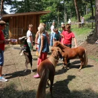 campingpark-buntspecht-ferchesar-ilyvl