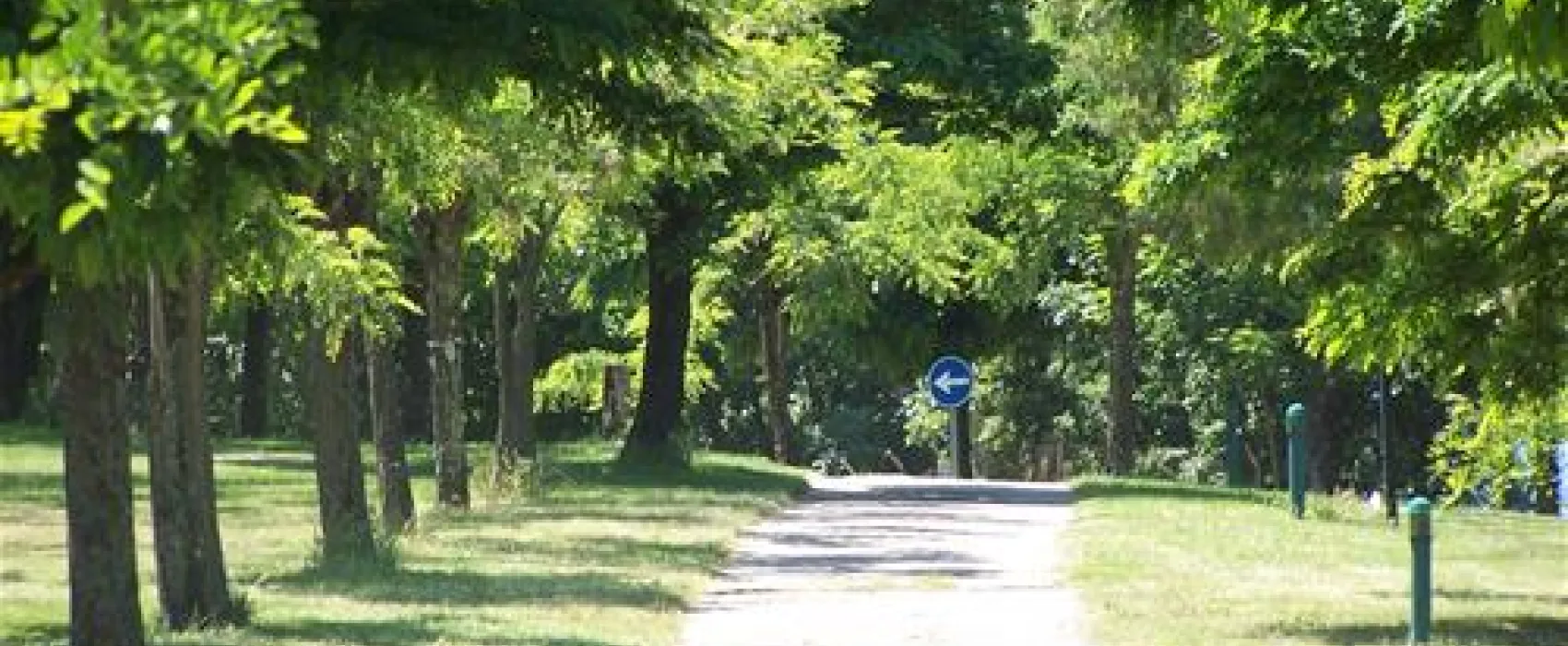 CAMPING YUSTE