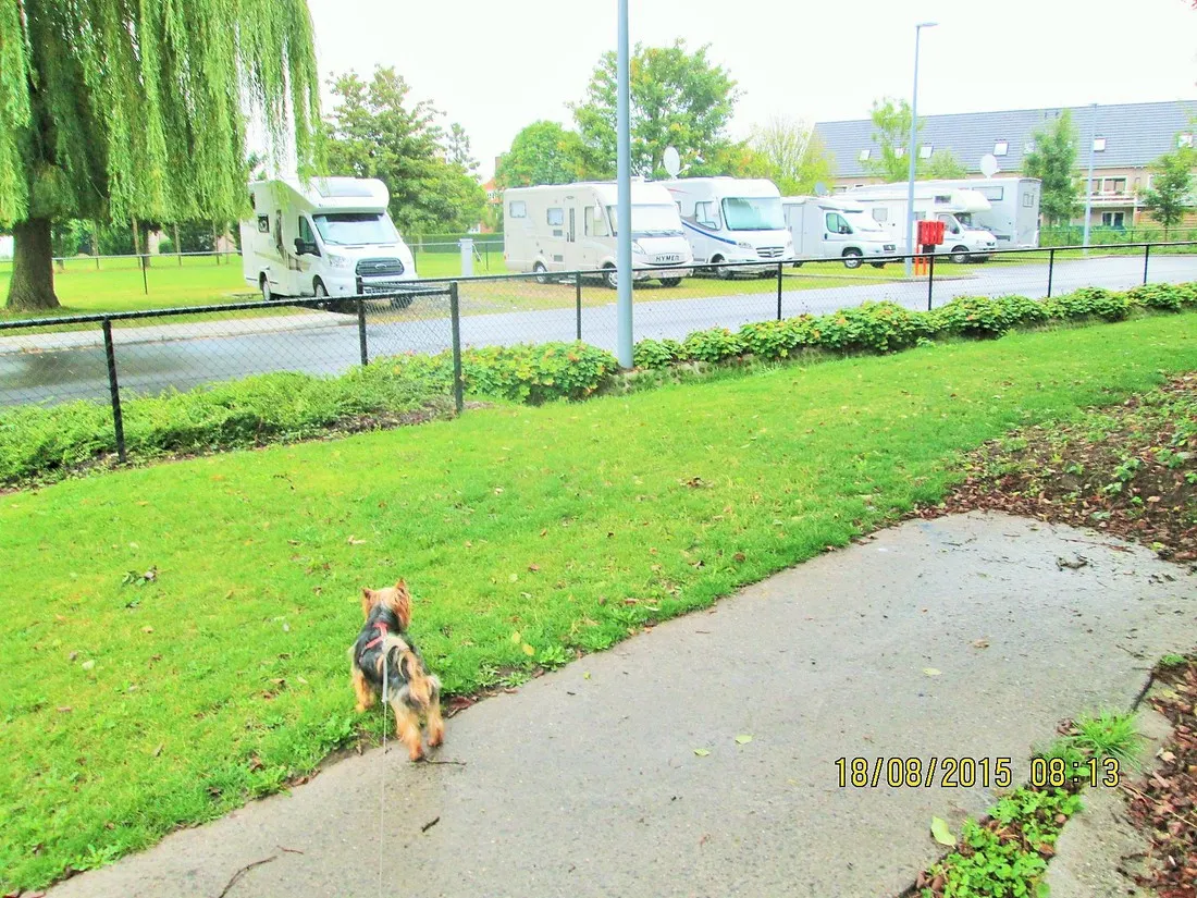 kampeerautoterrein-leiekamper-waregem-aocoy