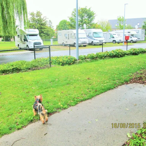 kampeerautoterrein-leiekamper-waregem-aocoy