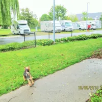 kampeerautoterrein-leiekamper-waregem-aocoy