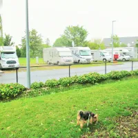 kampeerautoterrein-leiekamper-waregem-q0peq