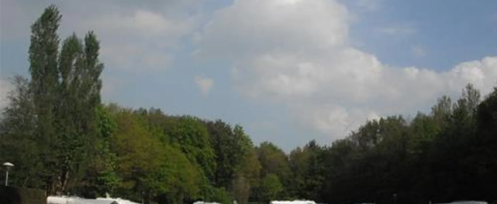 Looierheide