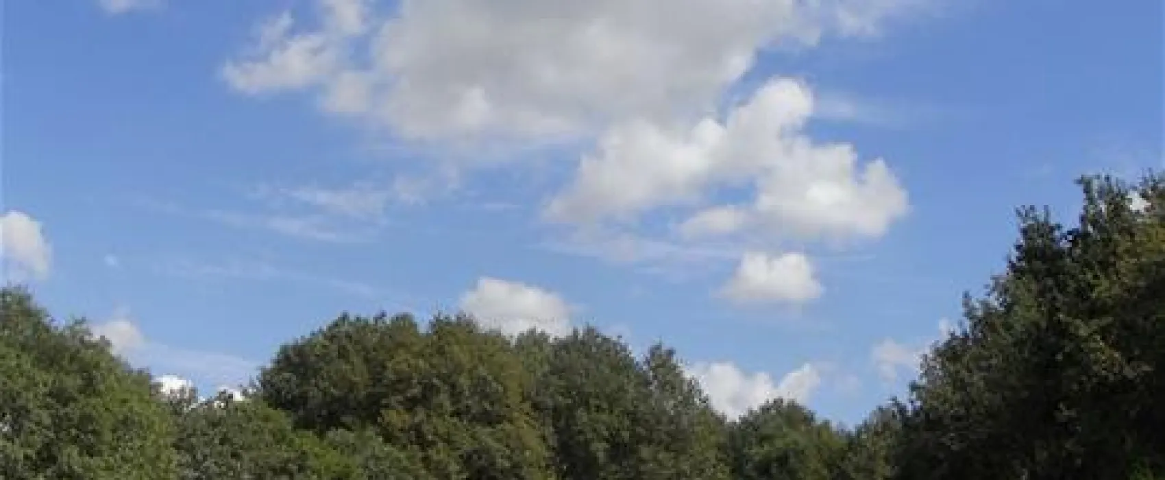 Looierheide