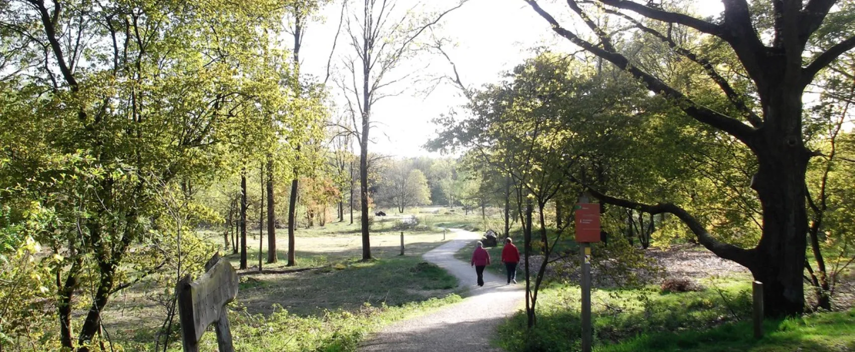 Looierheide