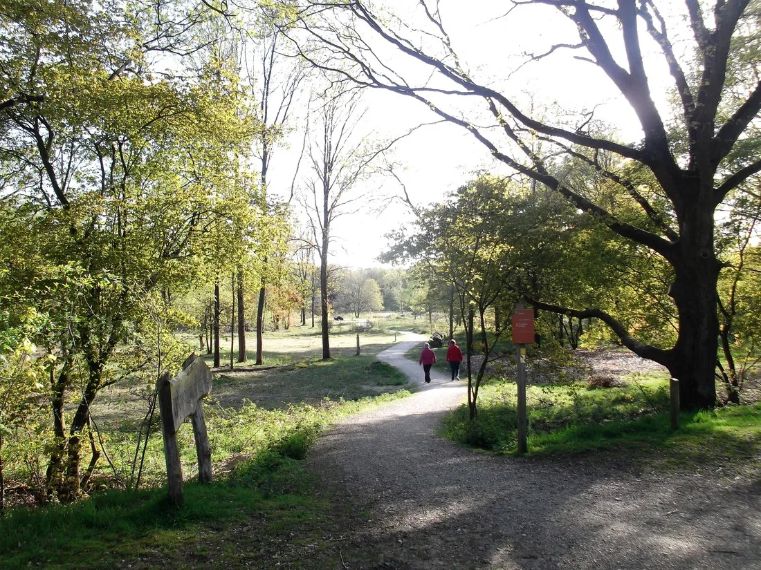 looierheide-ottersum-zabe1