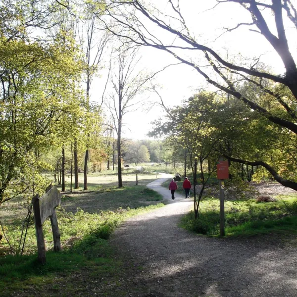 looierheide-ottersum-zabe1