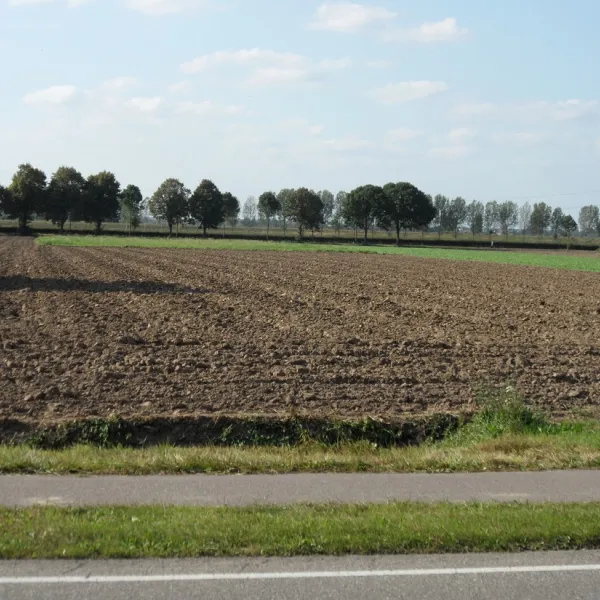 camping-de-boskant-geulle-9r1m2
