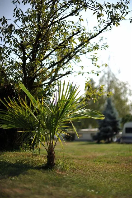 camping-moretto-cureglia-fmrfv