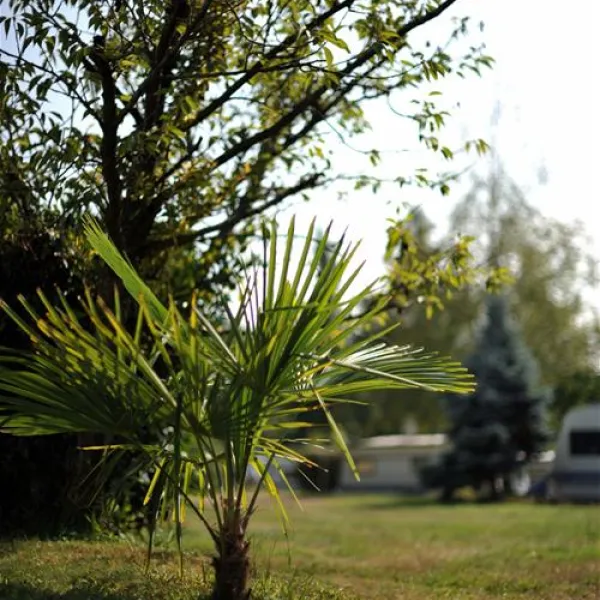 camping-moretto-cureglia-fmrfv