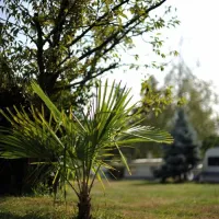 camping-moretto-cureglia-fmrfv