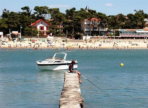flower-camping-walmone-st-sulpice-de-royan-r24kr