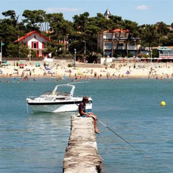 flower-camping-walmone-st-sulpice-de-royan-r24kr