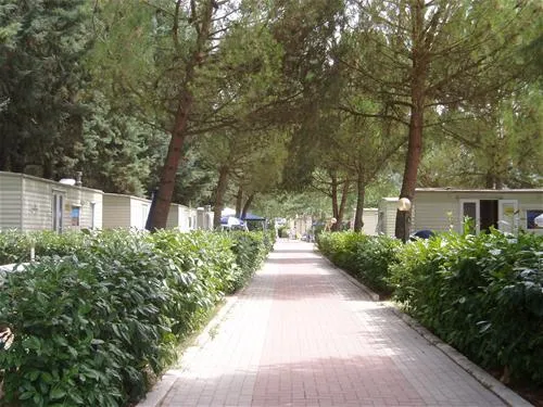 camping-villaggio-italgest-santarcangelo-jej07