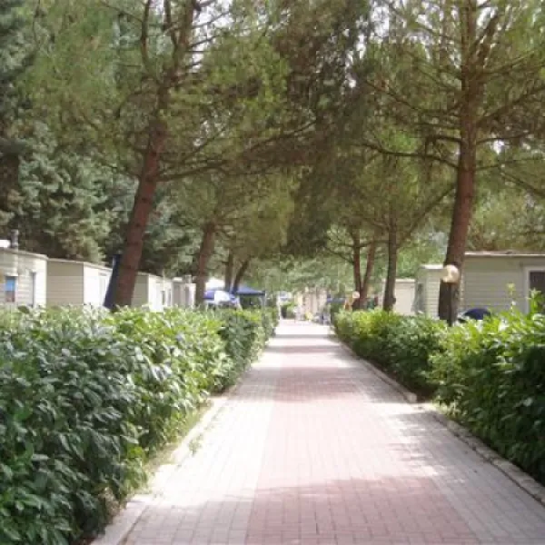 camping-villaggio-italgest-santarcangelo-jej07