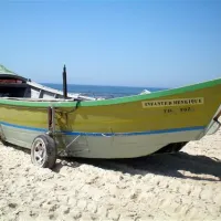 parque-de-campismo-municipal-da-praia-da-tocha-cantanhede-4ikhp