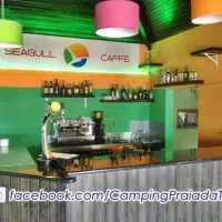 parque-de-campismo-municipal-da-praia-da-tocha-cantanhede-xfmha