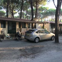 holiday-village-florenz-lido-degli-scacchi-0omjg