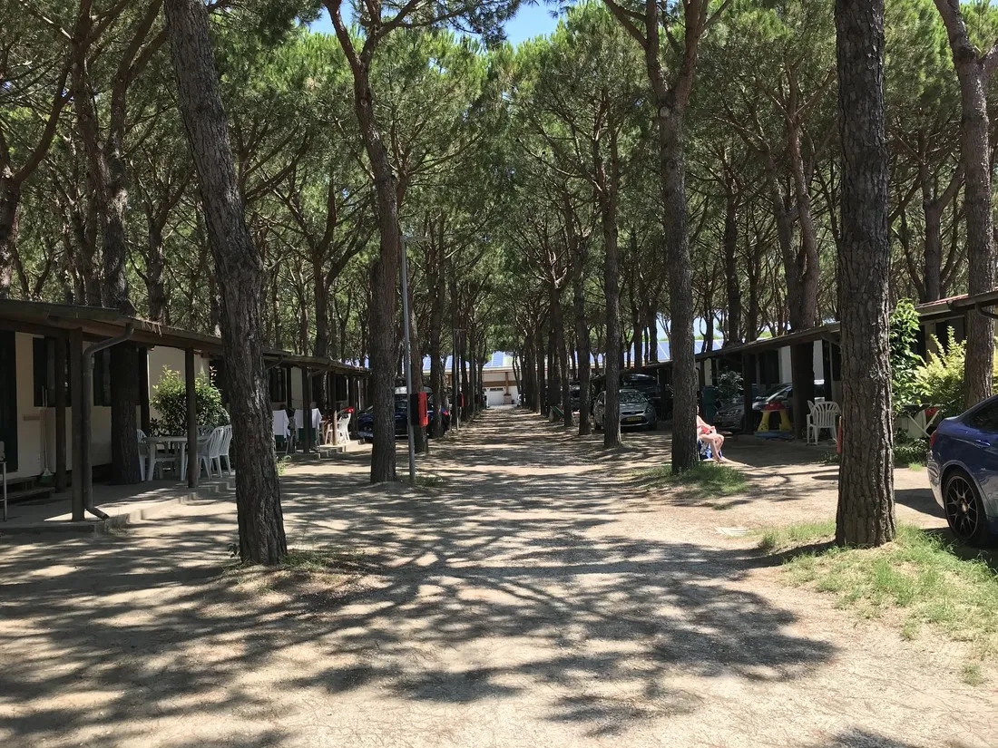 holiday-village-florenz-lido-degli-scacchi-lynda