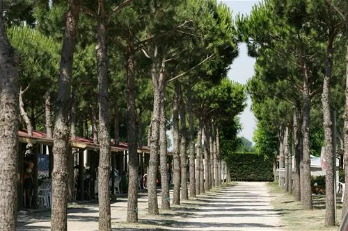 holiday-village-florenz-lido-degli-scacchi-s9kcj