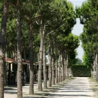 holiday-village-florenz-lido-degli-scacchi-s9kcj