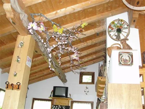 camping-al-pez-di-pralongo-forno-di-zoldo-7ghcn
