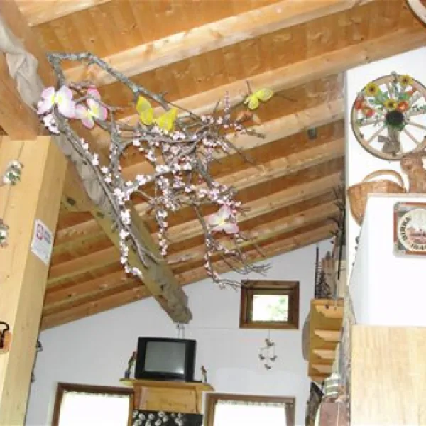 camping-al-pez-di-pralongo-forno-di-zoldo-7ghcn