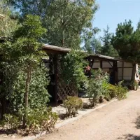 calacavallo-campeggio-villaggio-san-teodoro-ed240