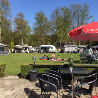 camping-berkenrode-beekbergen-pei2m