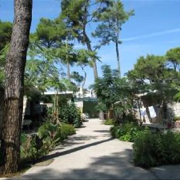 camping-diana-josip-biograd-na-moru-bnobr