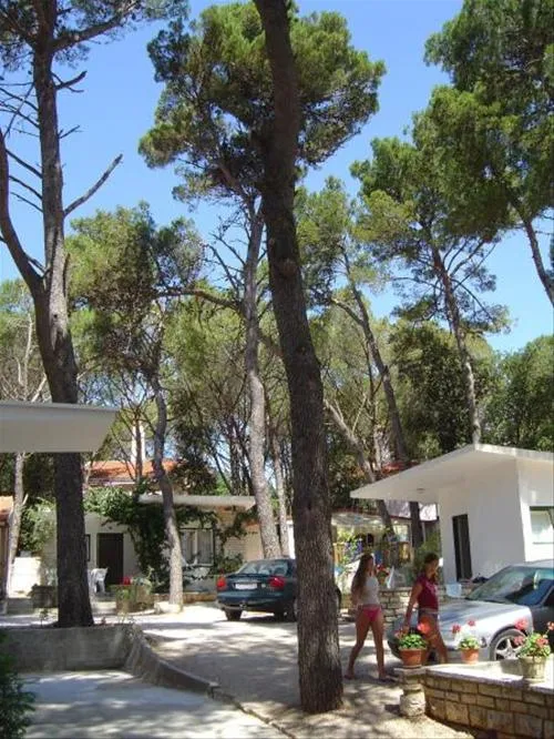 camping-diana-josip-biograd-na-moru-nim6d
