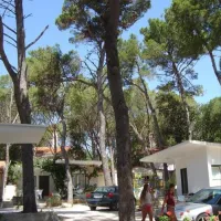 camping-diana-josip-biograd-na-moru-nim6d