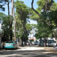 camping-diana-josip-biograd-na-moru-vbx9k