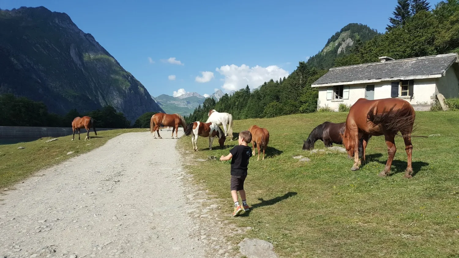 camping-du-valentin-laruns-rwaod
